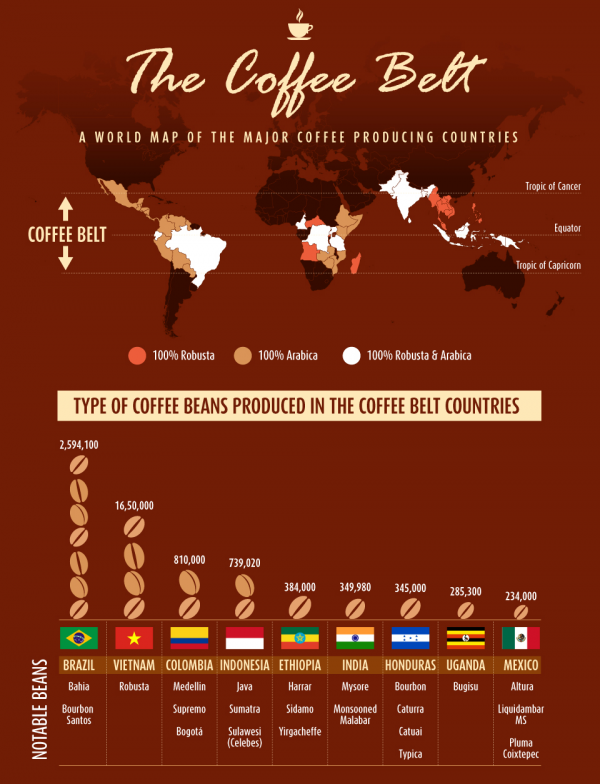 The Coffee Belt: Where Does Your Coffee Come From? – Little Coffee Bean Co